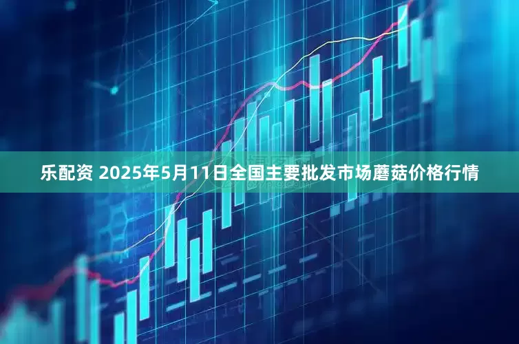 乐配资 2025年5月11日全国主要批发市场蘑菇价格行情