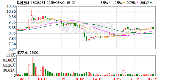 恒财网 鼎胜新材：2024年年度股东会决议公告