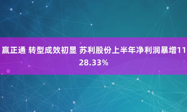 赢正通 转型成效初显 苏利股份上半年净利润暴增1128.33%
